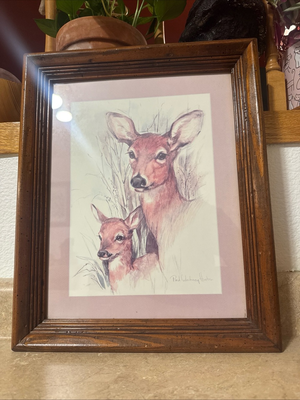 Vintage Paul Whitney Hunter "Deer & Fawn" Framed Art Print Rustic Nature Decor